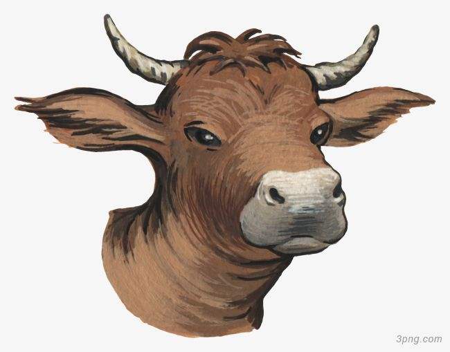 吉林市舒蘭市天德鄉(xiāng)反芻技術(shù)交流會圓滿成功！